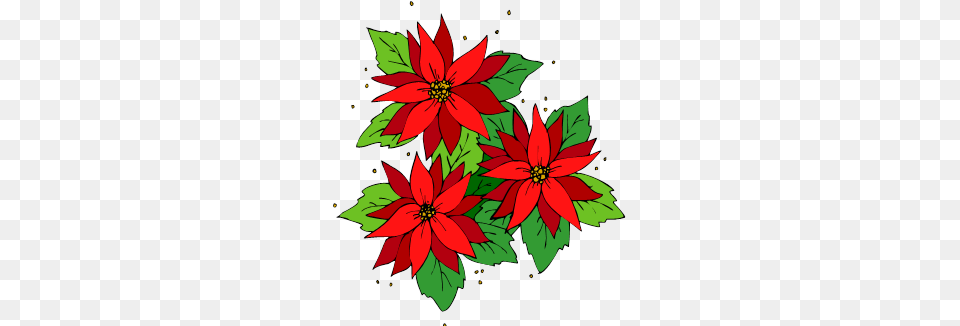 Rockland Community Church Golden Co Gt Poinsettia Dedication, Art, Floral Design, Graphics, Pattern Free Png Download