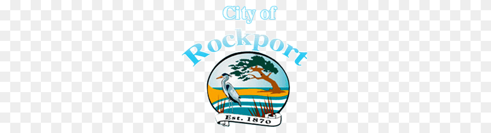 Rockport Rv Park Lagoons Rv Resort, Animal, Bird, Waterfowl, Crane Bird Free Png Download