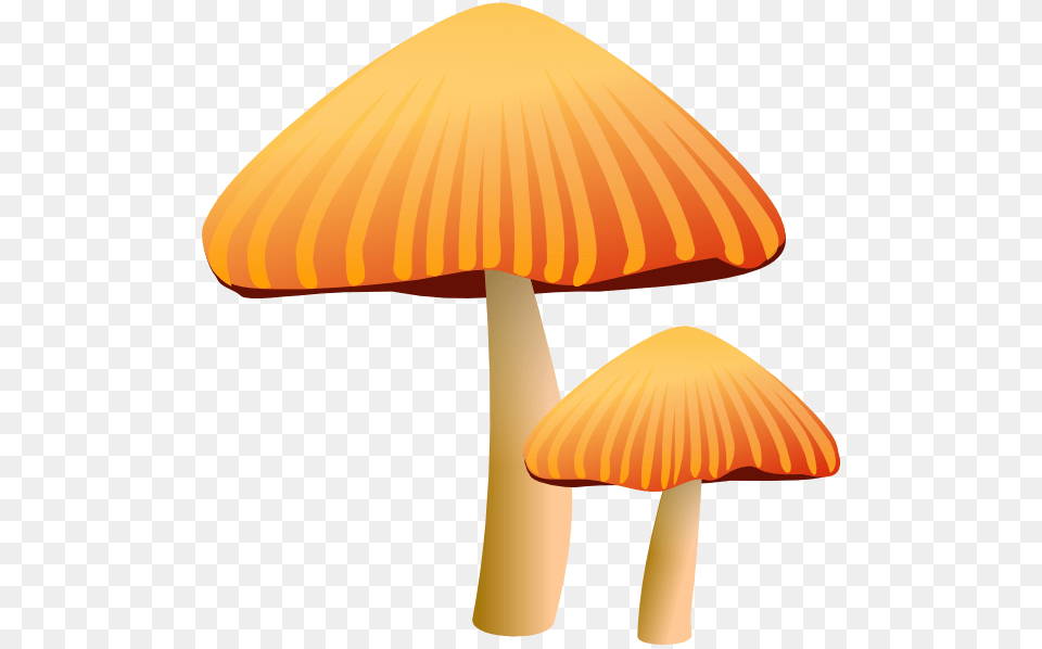 Rockraikar Orange Mushroom Clip Art Vector, Agaric, Fungus, Plant, Amanita Png