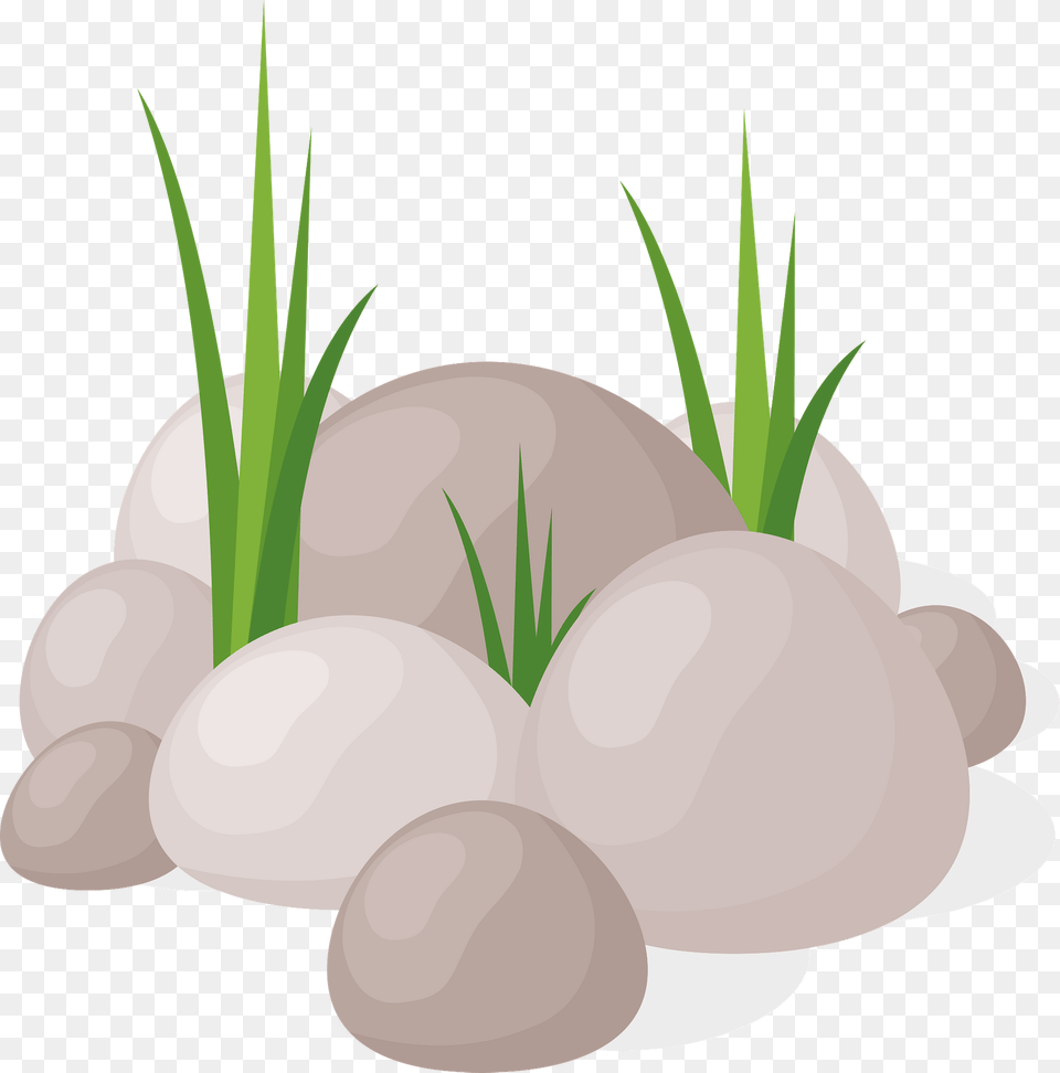 Rocks In Grass Clipart, Pebble, Plant, Nature, Outdoors Png