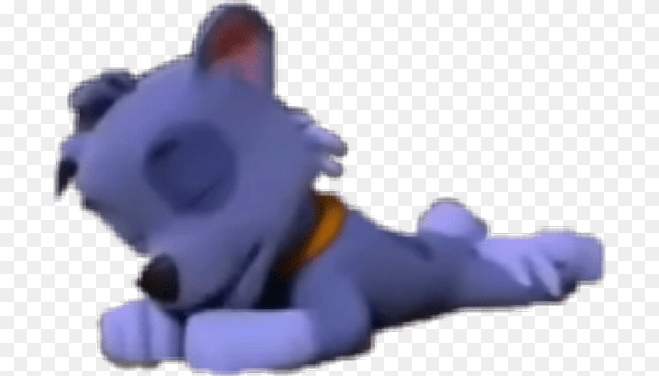 Rocky Cat Jumps, Baby, Person, Head Png Image