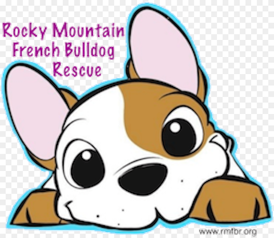 Rocky Mountain French Bulldog Rescue French Bulldog, Text, Ammunition, Grenade, Weapon Png Image