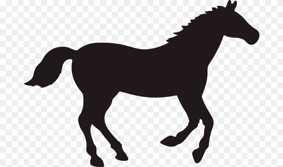 Rocky Mountain Horse Vector Graphics Clip Art Black Horse Silhouette, Animal, Colt Horse, Mammal, Foal Free Png Download