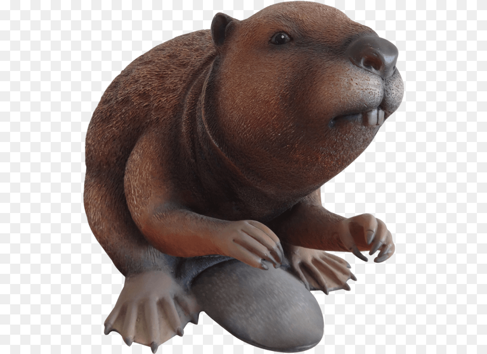 Rodent Beaver Life Size Forest Prop Resin Decor Statue Statue, Animal, Bear, Mammal, Wildlife Free Png Download