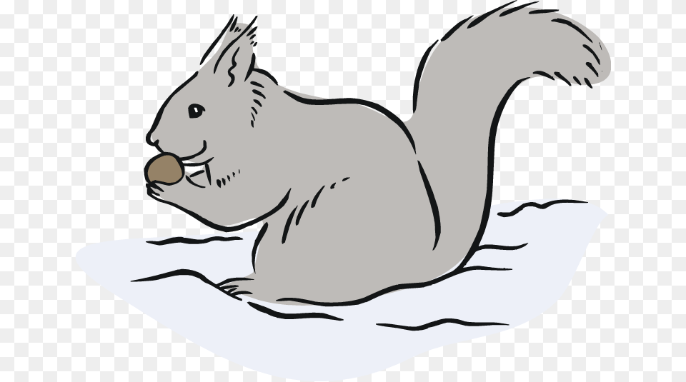 Rodent Clipart Gray, Baby, Person, Animal, Mammal Free Transparent Png