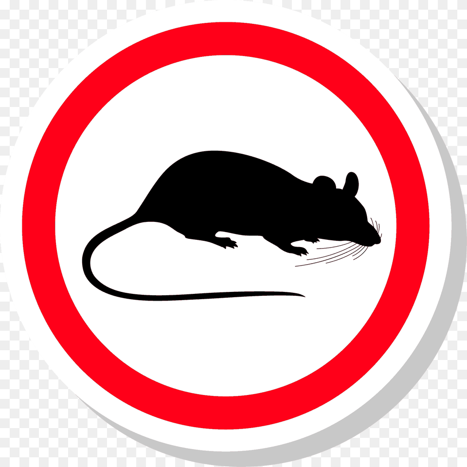 Rodent Control, Animal, Mammal, Rat Free Png