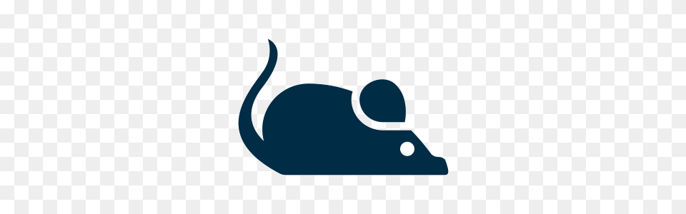 Rodent Droppings Cleanup Service In Camden South Carolina Bio, Smoke Pipe, Animal, Mammal, Computer Hardware Free Transparent Png