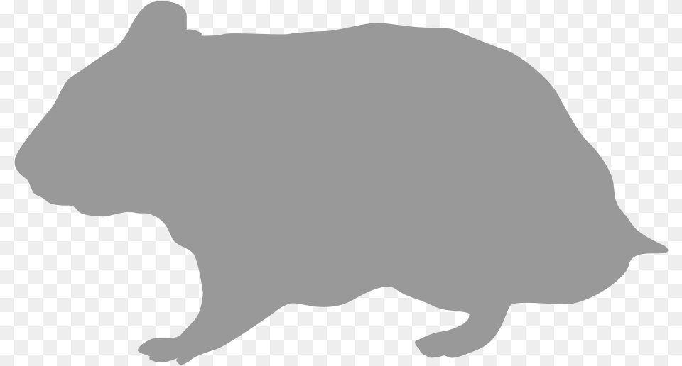 Rodent Hamster Silhouette Gerbil Silueta Hamster, Animal, Mammal, Baby, Person Free Transparent Png