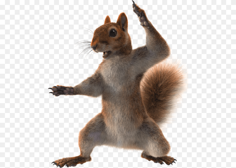 Rodent Sandy Cheeks Out Of Water, Animal, Mammal, Rat, Squirrel Png Image