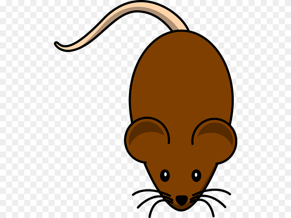 Rodent Vector Graphic Cartoon Mouse Transparent Background, Animal, Mammal, Astronomy, Moon Png