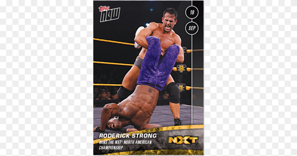 Roderick Strong Wins The Nxt North American Championship Wwe Nxt, Adult, Male, Man, Person Free Transparent Png
