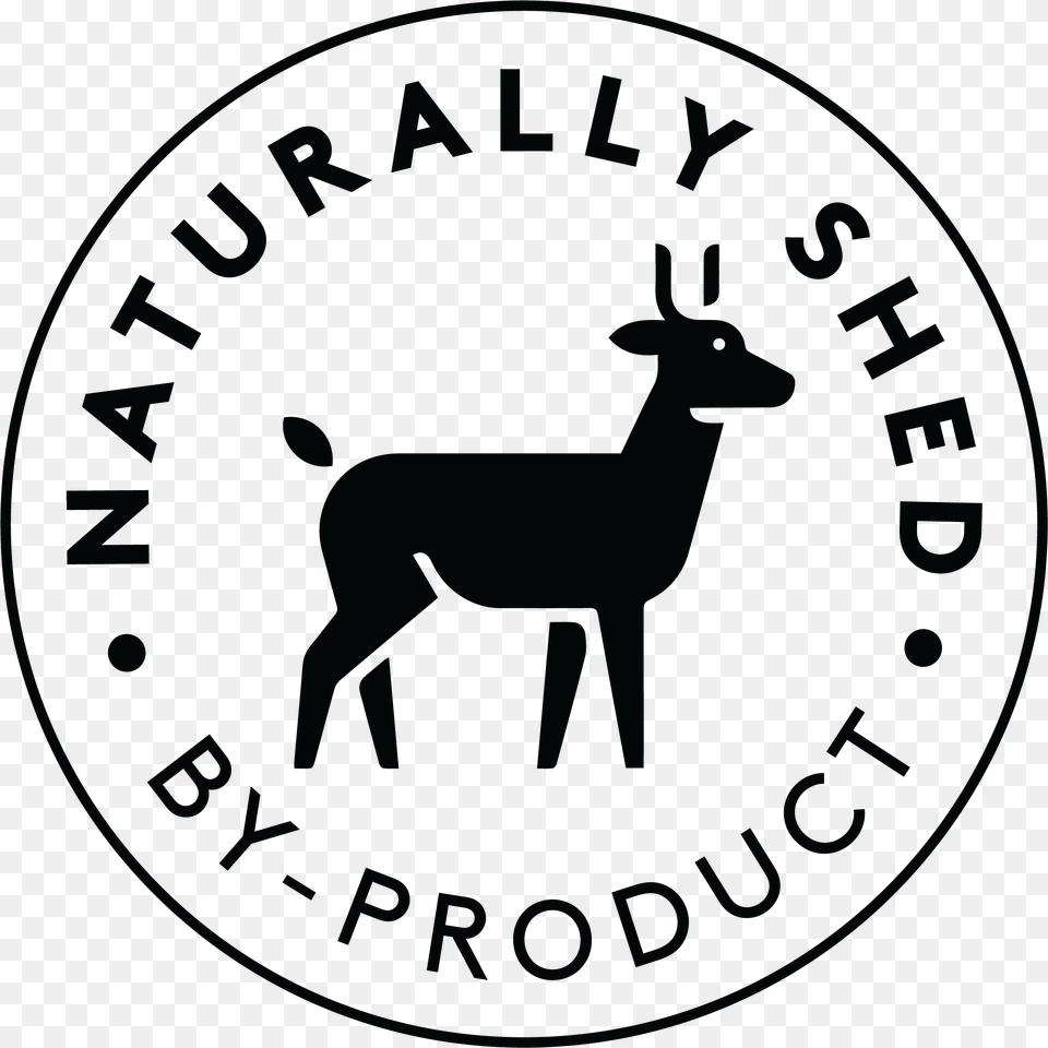Roe Deer, Animal, Mammal, Wildlife, Logo Free Transparent Png