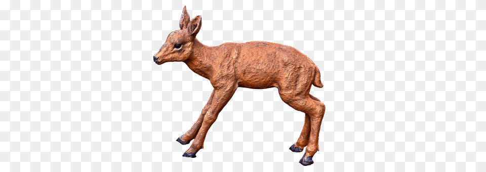 Roe Deer Animal, Mammal, Wildlife, Livestock Free Transparent Png