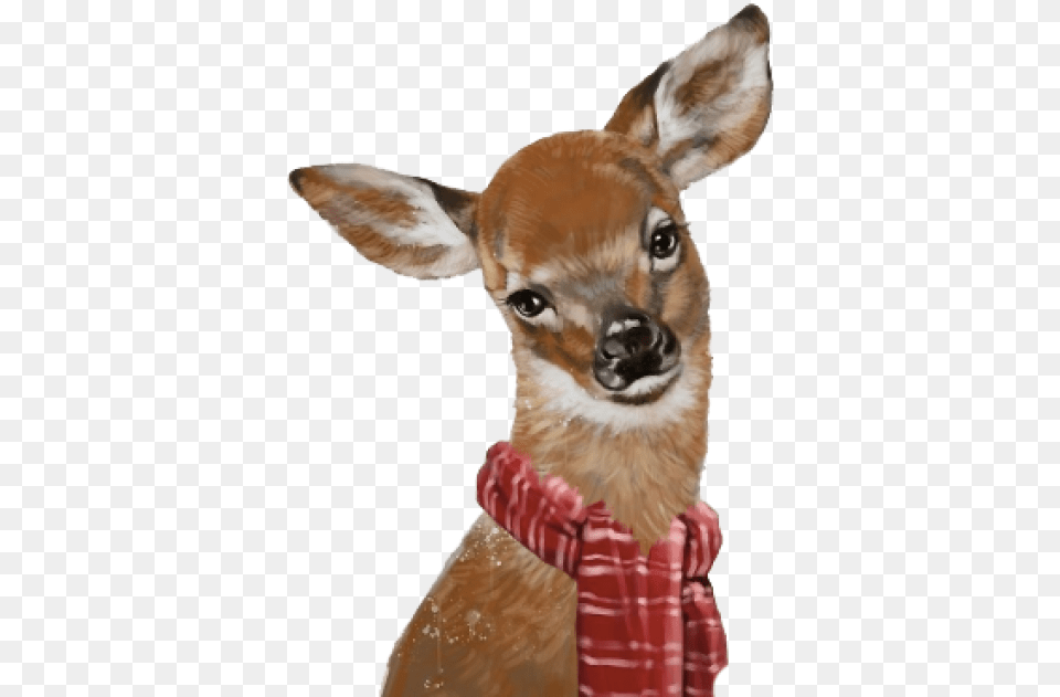 Roe Deer, Animal, Mammal, Wildlife, Canine Png Image