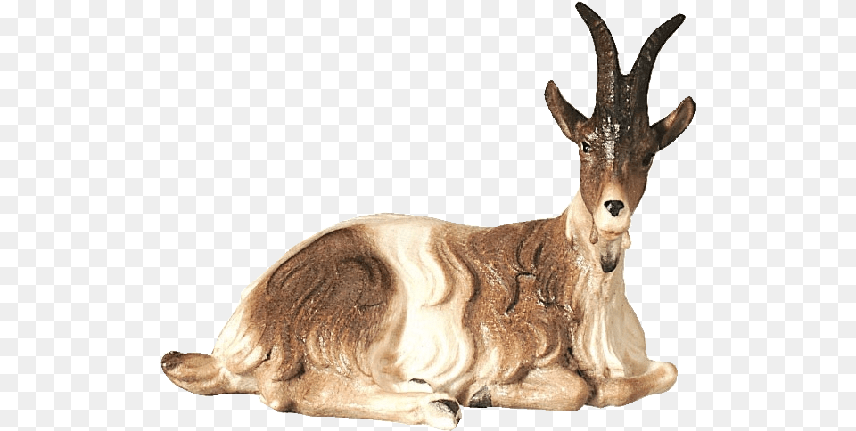 Roe Deer, Animal, Mammal, Antelope, Wildlife Free Transparent Png