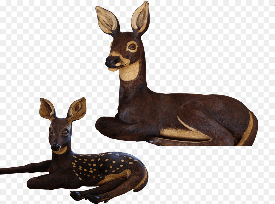 Roe Deer, Animal, Mammal, Wildlife, Kangaroo Png Image