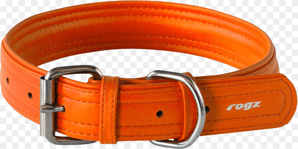 Rogi Dog Collar Orange Belt Pictures, Accessories, Buckle Free Transparent Png
