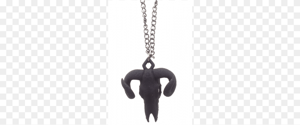 Rogue Wolf Ram Skull Necklace Rogue Amp Wolf Ram Skull Necklace, Accessories, Jewelry, Electronics, Hardware Png