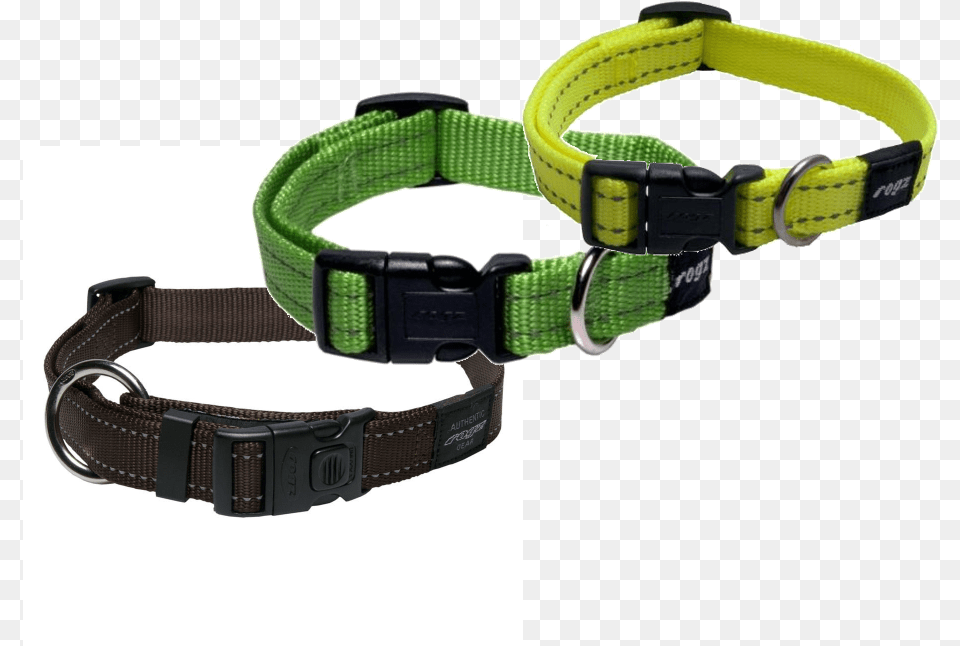 Rogz, Accessories, Collar, Belt, Strap Free Transparent Png