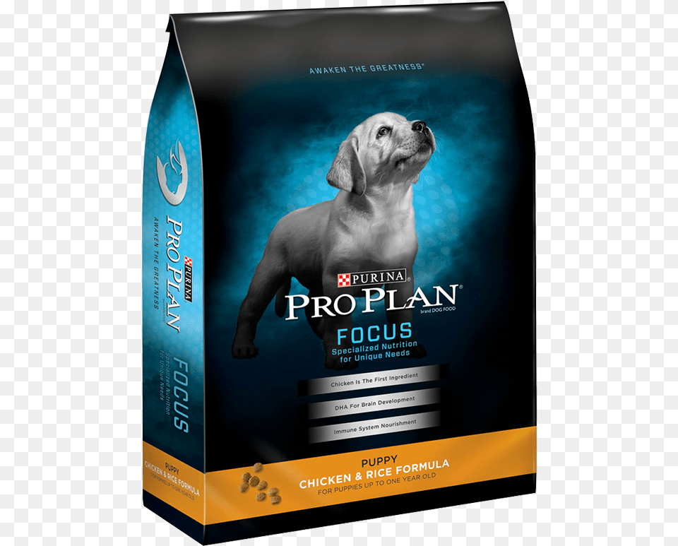 Roll Over Image To Zoom Purina Pro Plan Focus Puppy, Animal, Canine, Dog, Mammal Free Transparent Png