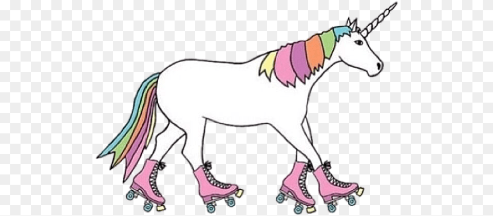 Roller Unicorn Unicorn On Roller Skates, Animal, Kangaroo, Mammal Free Png Download