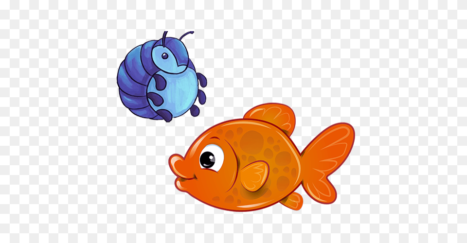 Roly Poly And Guppy, Animal, Sea Life, Fish, Goldfish Png