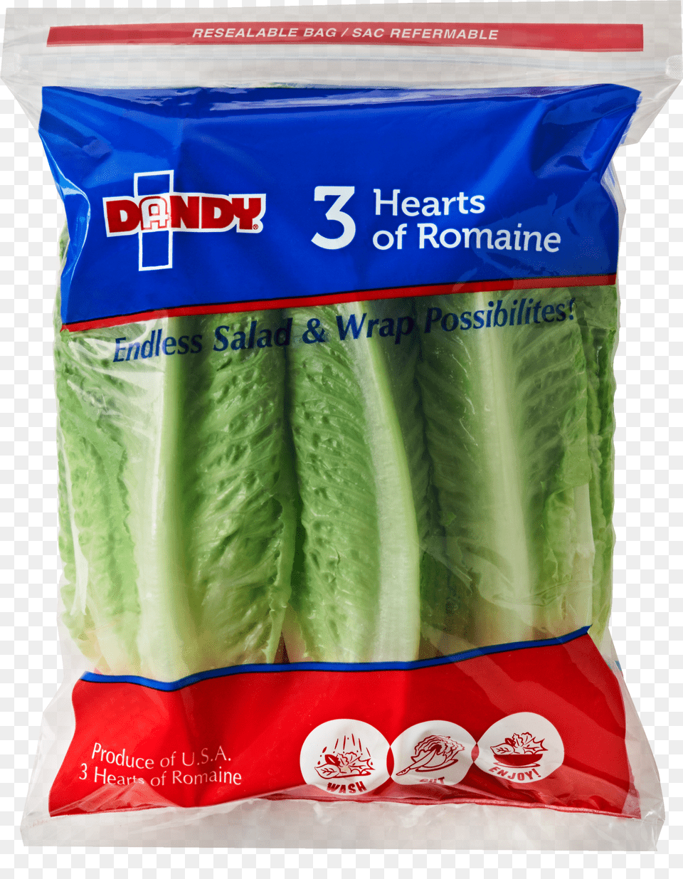 Romaine Hearts Lettuce Png