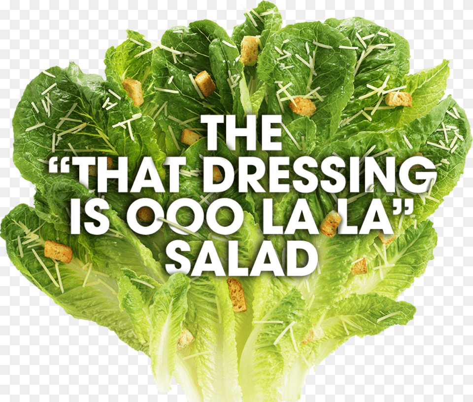 Romaine Lettuce, Food, Plant, Produce, Vegetable Free Transparent Png