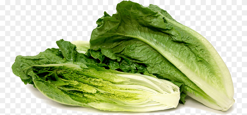 Romaine Lettuce Background Image Cos Or Romaine Lettuce, Food, Plant, Produce, Vegetable Free Png Download