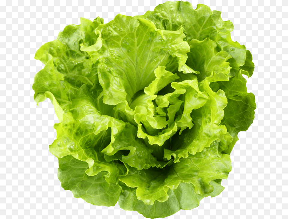 Romaine Lettuce Cdc Recall, Food, Plant, Produce, Vegetable Png Image