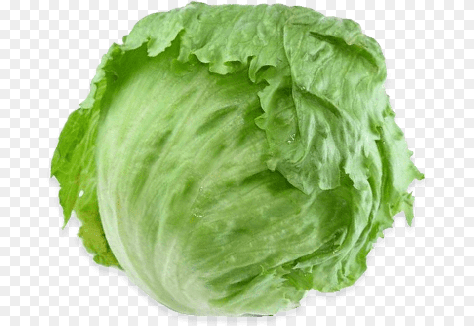 Romaine Lettuce Iceberg Background Lettuce Food, Plant, Produce, Vegetable Free Transparent Png