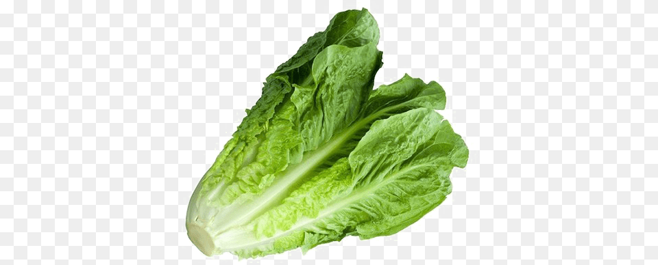 Romaine Lettuce Image With Cos Lettuce, Food, Plant, Produce, Vegetable Free Transparent Png