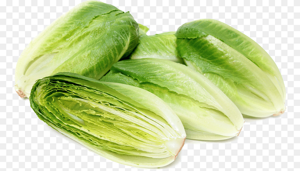 Romaine Lettuce Photo Romaine Cos Lettuce, Food, Produce, Plant, Vegetable Free Png Download