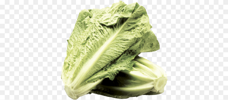 Romaine Lettuce Superfood, Food, Plant, Produce, Vegetable Free Png Download