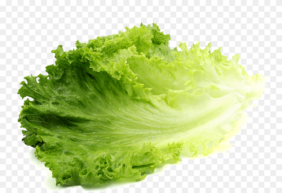 Romaine Lettuce Transparent Image Lettuce, Food, Plant, Produce, Vegetable Png
