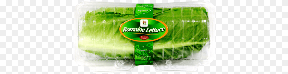 Romaine Salad Household Supply, Food, Lettuce, Plant, Produce Free Png Download