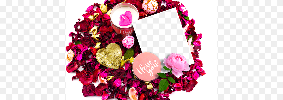 Romance Rose, Plant, Petal, Flower Free Png Download