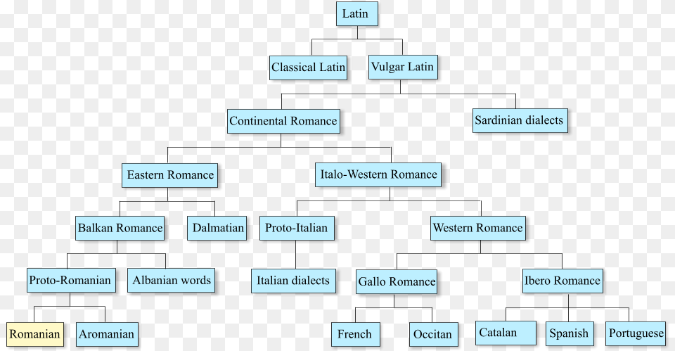Romance Languages And Romanian Romanian Language Family Tree, Diagram, Uml Diagram, Scoreboard Free Png