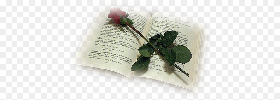 Romance Novel Romance Novel Clipart, Book, Flower, Plant, Publication Free Transparent Png