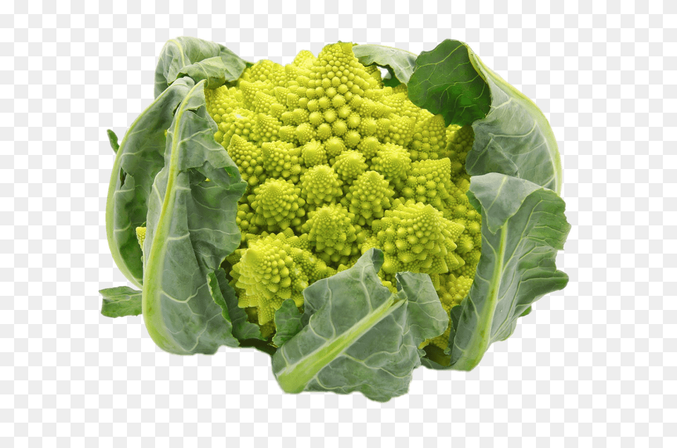 Romanesco Broccoli, Food, Plant, Produce, Cauliflower Png Image