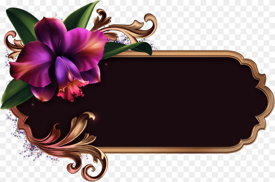 Romantic Orchids Wedding Album Stationary Design Wedding Album, Art, Floral Design, Flower, Graphics Free Png