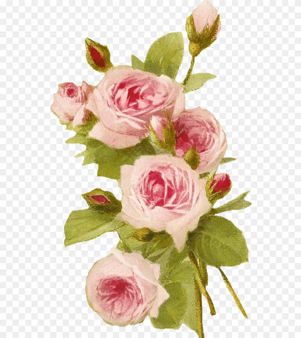 Romantic Pink Flower Border Happy Boss Day To An Ex Boss, Rose, Plant, Flower Arrangement, Flower Bouquet Png