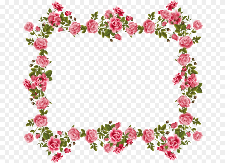 Romantic Pink Flower Border Happy Mothers Day Cat, Rose, Plant, Carnation, Petal Free Png
