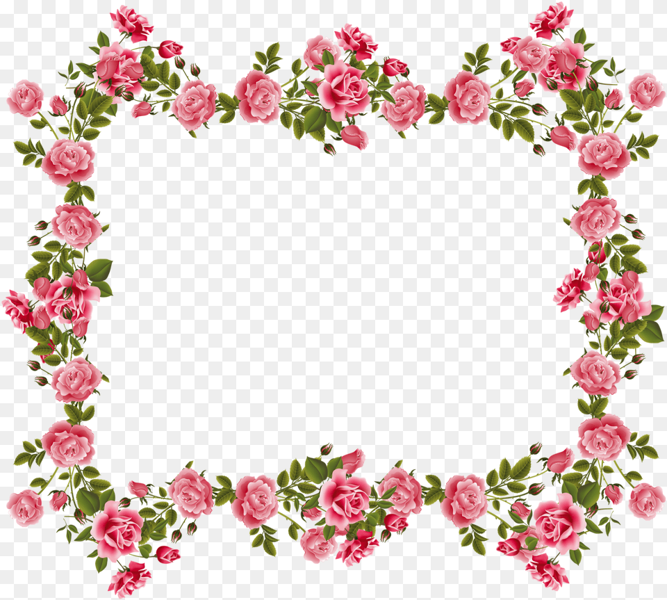Romantic Pink Flower Border Image Old Rose Border Design, Plant, Carnation, Pattern, Petal Free Png