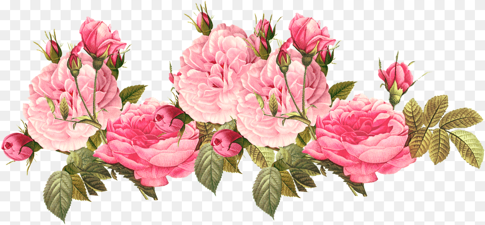 Romantic Pink Flower Border Photos Transparent Pink Flower, Flower Arrangement, Flower Bouquet, Plant, Rose Png