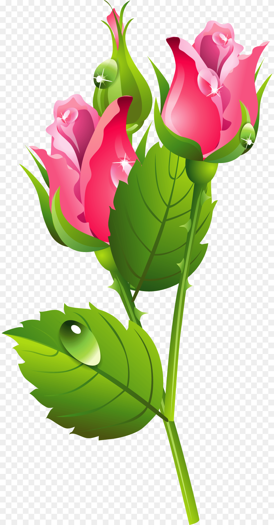 Romantic Pink Flower Border Image Illustration, Plant, Rose, Leaf Free Transparent Png