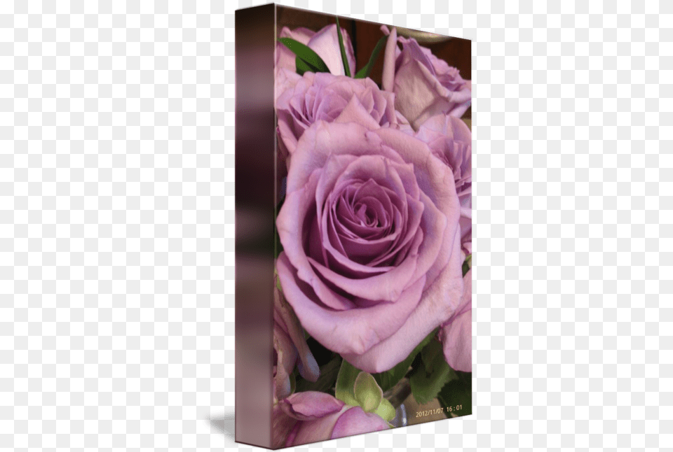 Romantic Purple Roses By Marie Millard, Flower, Flower Arrangement, Flower Bouquet, Plant Free Transparent Png