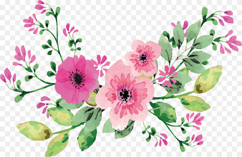 Romantic Transprent Download Pink Water Color Flower Vector, Art, Floral Design, Graphics, Pattern Png