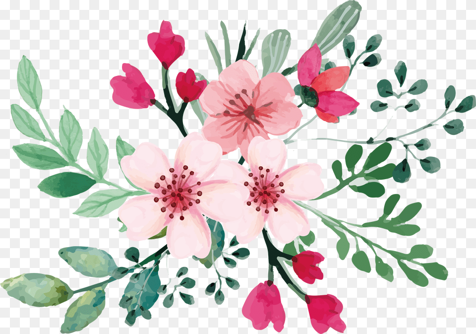 Romantic Watercolor Cherry Blossom Bouquet Cherry Blossom Watercolour, Flower, Plant, Art, Floral Design Png Image