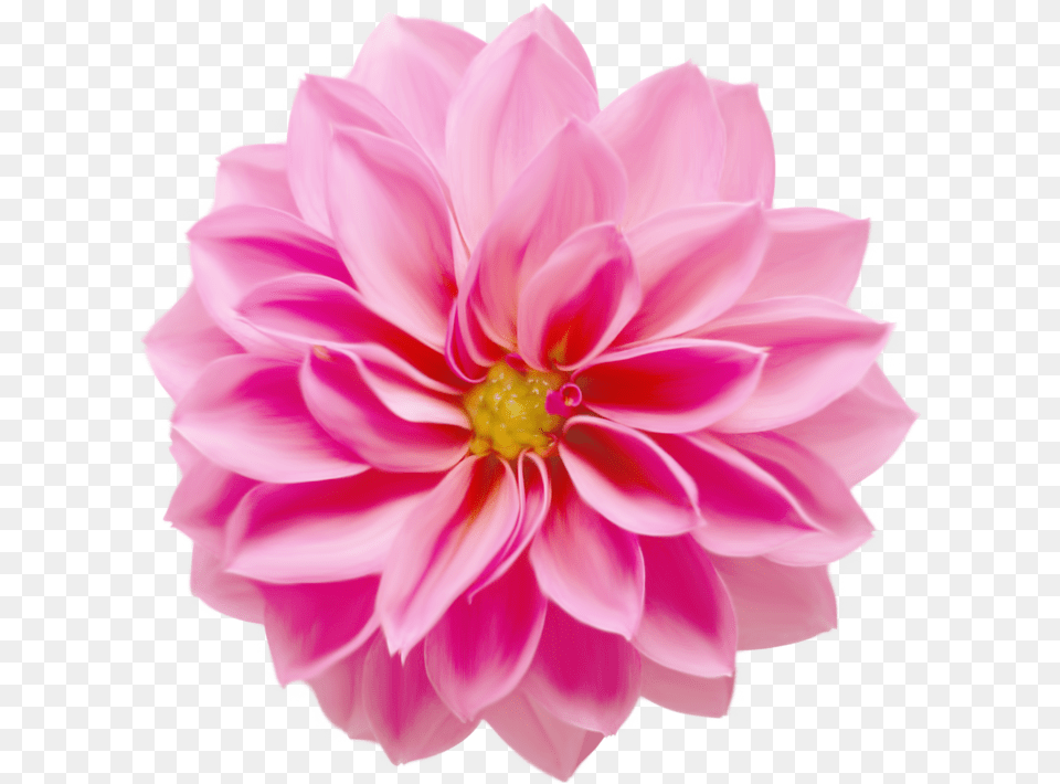 Romanticillusionmoleminael 20png Flowers Flower Flowers, Dahlia, Plant, Rose Png